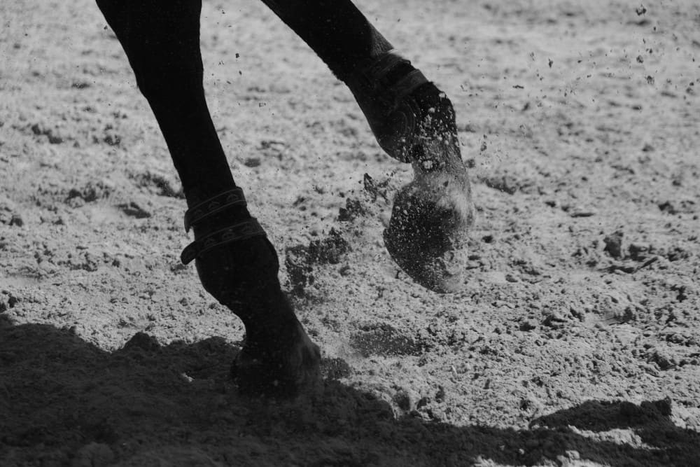 Cheval au travail qui gratte le sol