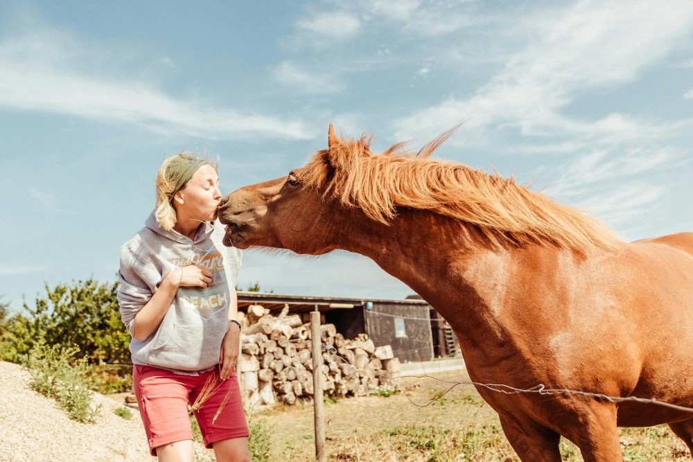 Cheval qui mord une dame qui lui fait un bisou