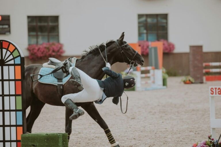 Chute de cheval d'une cavalière à l'obstacle