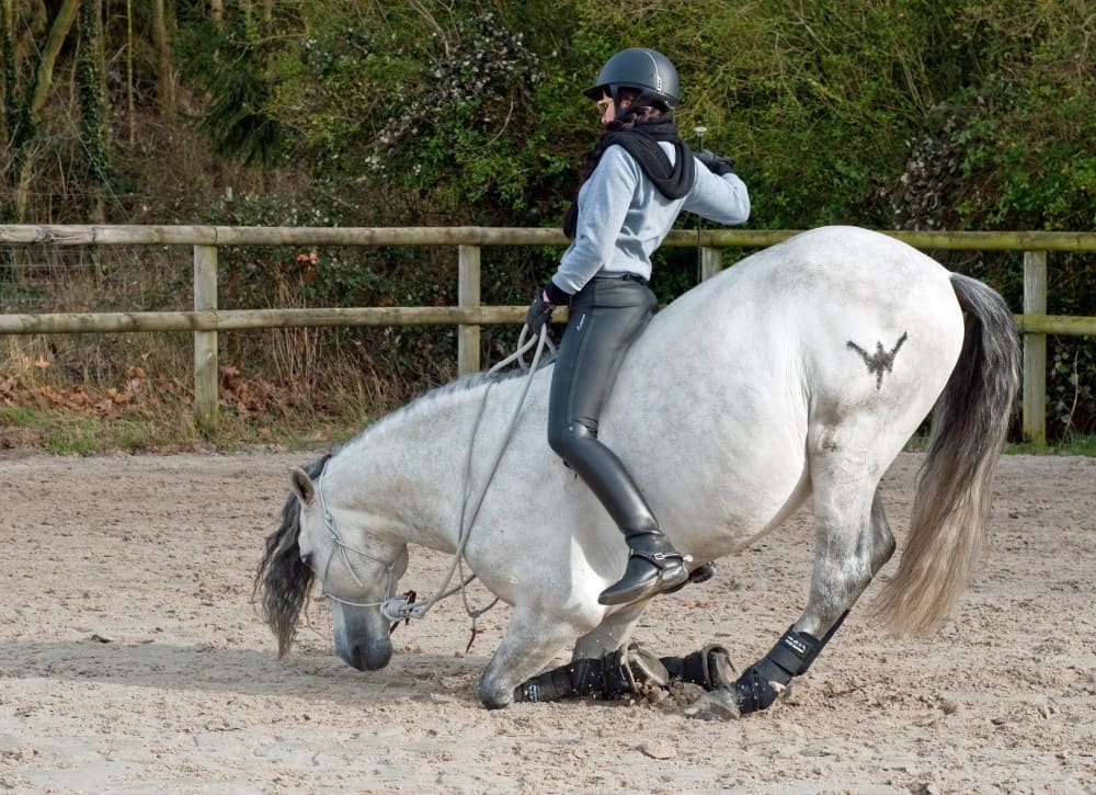 Femme faisant une chute de cheval dans une carrière