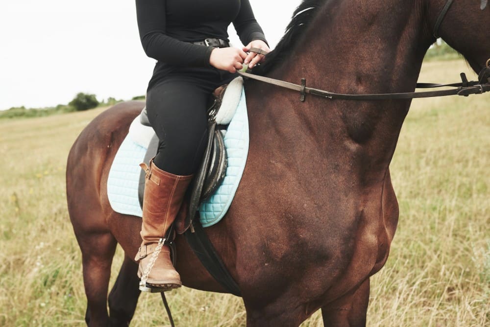 Cavalière sur un cheval avec tapis bleu