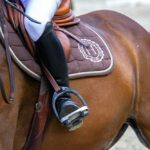 Quel tapis de selle choisir ? Guide pour bien choisir son tapis d’équitation