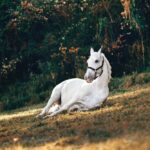 Featured image placeholder 16:9
